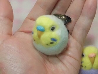 セキセイインコ レインボー薄青★マグネット/ブローチどちらか選択 羊毛の小鳥 受注作成　羊毛フェルト　鼻の色変更可能の画像