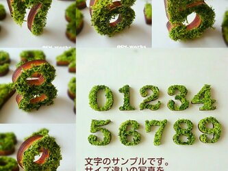 木製オブジェ(モス)ＬＬサイズ(30cm)×１点「５・６・７・８・９」の画像