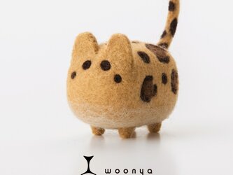 woonya【leopard】の画像