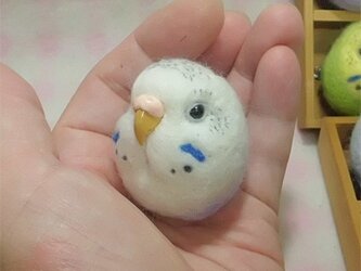 セキセイインコ ハルクイン・薄紫★マグネット/ブローチどちらか選択 羊毛の小鳥 受注作成　羊毛フェルト　鼻の色変更可能の画像