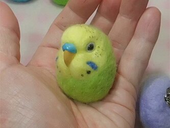 セキセイインコ オパーリン・薄黄緑★マグネット/ブローチどちらか選択 羊毛の小鳥 受注作成　羊毛フェルト　鼻の色変更可能の画像