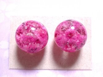 かすみ草の球体ピアス・ピンクの画像