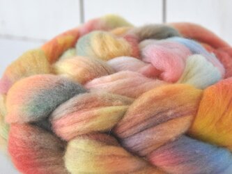 羊毛（メリノ トップ） 120ｇ 【02】の画像
