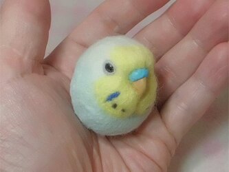 ☆選べる2タイプ☆ コロコロ♪ 羊毛の小鳥  セキセイ レインボー パステルブルー☆選べる鼻の色の画像