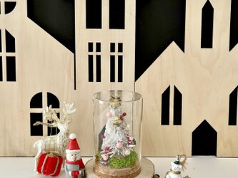 Xmas minitree arrange + Xmas display