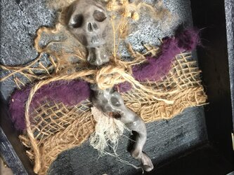 去勢されたミイラの標本箱の画像