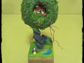 苔玉ツリーハウスの画像