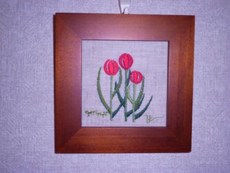 チュウリップの花額の画像