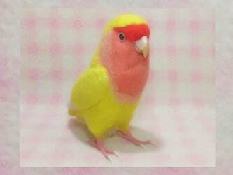 リアルサイズ♪ コザクラインコ ルチノー 羊毛フェルト　受注作成　羊毛インコ　メモリアル　ライフサイズ　うちの子オーダー可能の画像