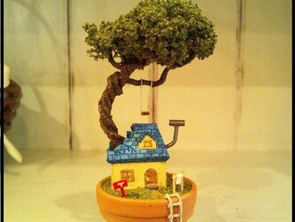 鉢植えの家の画像