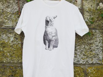 あくび猫Tシャツ　Lサイズ/ホワイトの画像