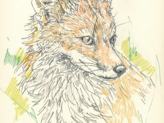 ※要写真　ペットの似顔絵　犬や猫以外もお描きします。の画像