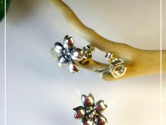 シルバーねじピアス シングルナット 桜の画像