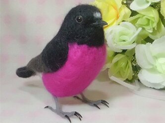ピンクロビン セグロサンショクヒタキ ライフサイズ♪ 羊毛フェルト　受注作成　羊毛フィギュア　羊毛インコ　工房小鳥屋さんの画像