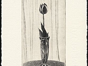 チューリップ・2014 / 銅版画 (作品のみ）の画像