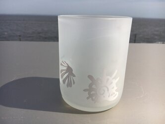 白い貝殻グラスの画像