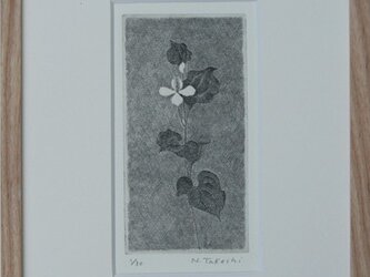 どくだみ・2013A / 銅版画 (額あり）の画像