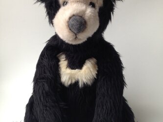 ナマケグマLの画像