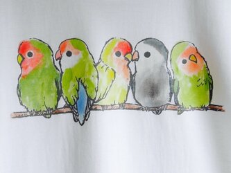 ふんわりコザクラインコの Tシャツの画像