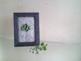 植物のフレーム アイビーの画像