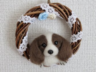 キャバリア　リース　犬の画像