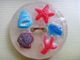 海のボタン・Cの画像