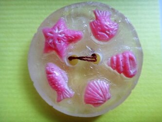 海のボタン・Dの画像