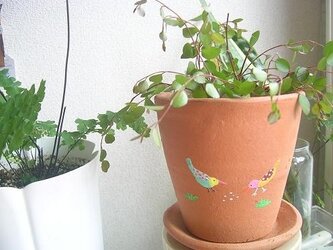 夏鳥の植木鉢の画像