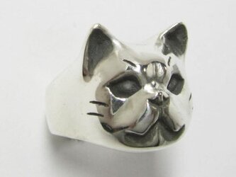 ブサカワ猫（ぶさかわねこ）PINKY RINGの画像