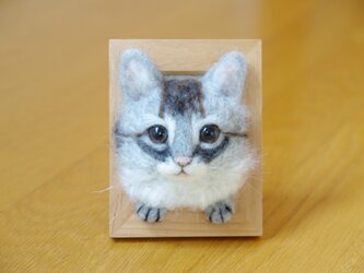 【癒しねこ】　ソマリ風　フレーム　の画像