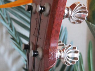 Ukulele shell ペグ　/  シェルをモチーフにしたウクレレペグのノブの画像