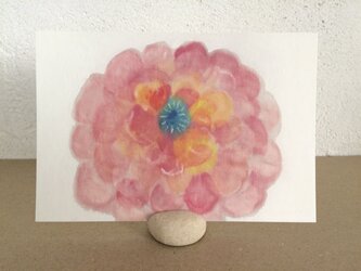 ポストカード ―大輪の花の画像