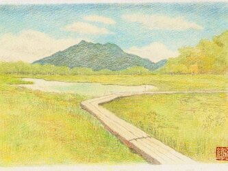 夏の尾瀬の画像