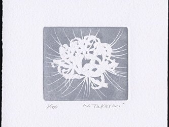 曼珠沙華（2016A）シルバー/銅版画 (作品のみ）の画像