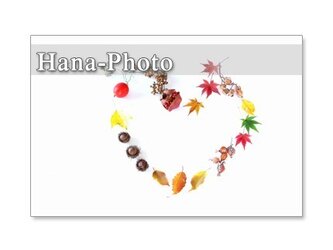 1184)　美味しいハロウィン　　ポストカード5枚組　の画像