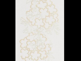 しだれ桜の画像