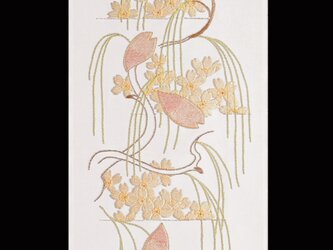 都の錦（桜）の画像