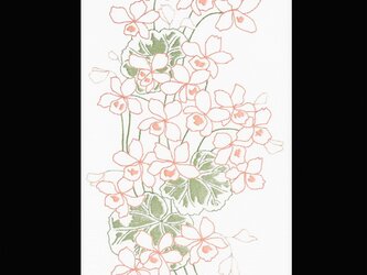 シクラメンの画像