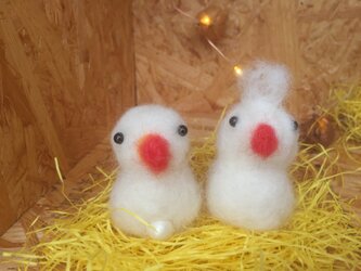 縁起物・幸せの子宝白文鳥の画像