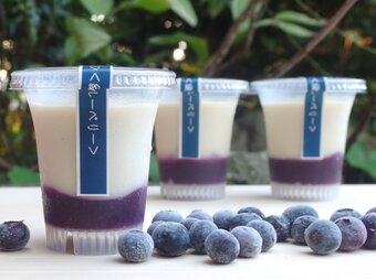 九州産豆乳プリンセット＜綾ブルーベリー＞(３個入り）乳製品・卵・白砂糖完全不使用の画像