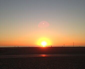 ろ〜たすむさし