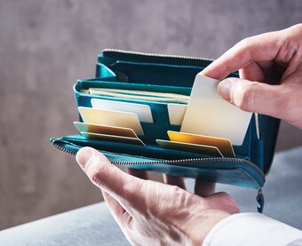 STUDIUM/ストゥディウム