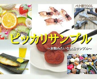 食品サンプルのピッカリサンプル