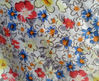 たぬきやまねこ