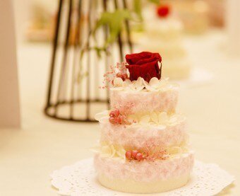 Trezor-トレゾア-