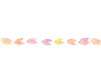 さくらしるく【納期最大1週間】