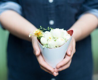 サイスイクラフト