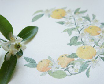 アトリエ星月夜