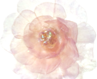 Faririco
