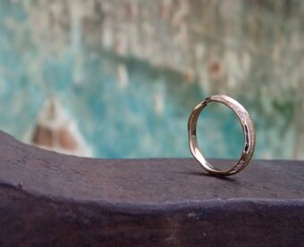 Nosri 〔ノスリ〕